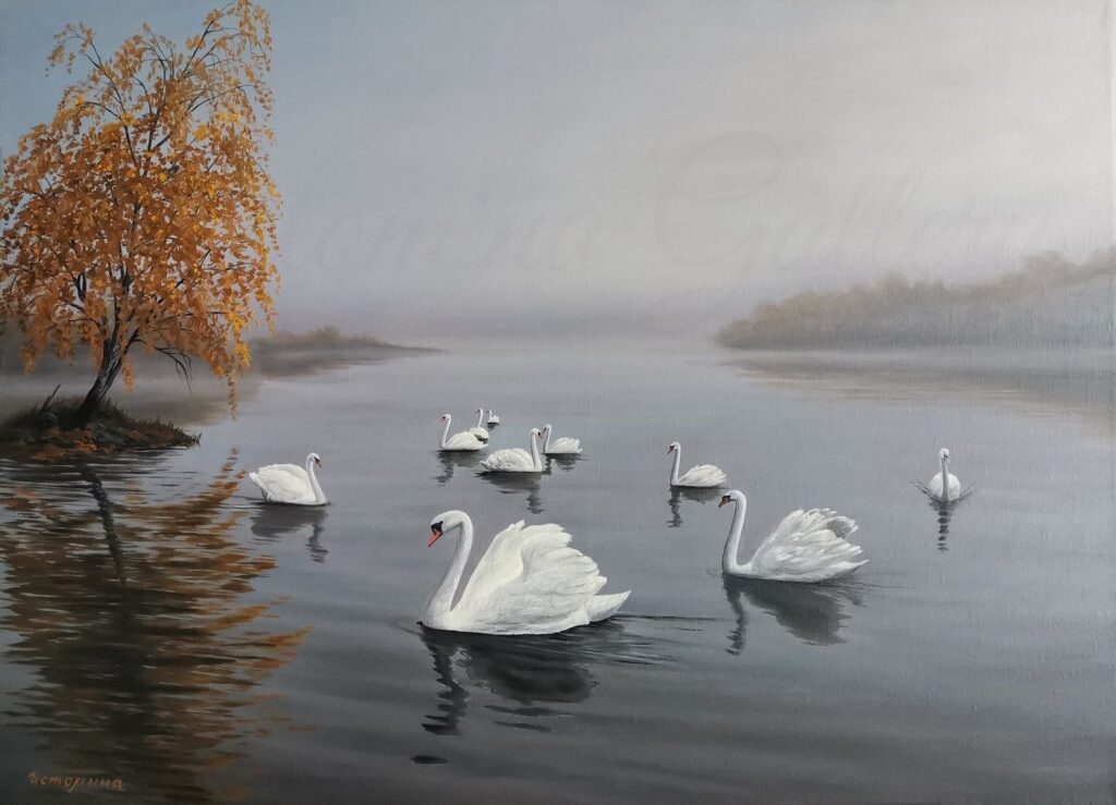 "Лебеди", 50х70 см. Холст, масло